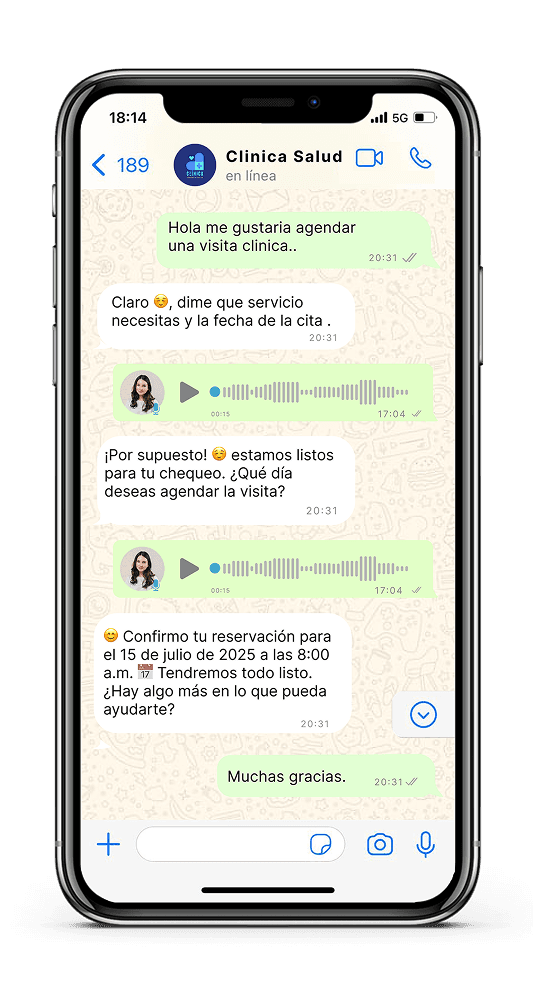 audio example